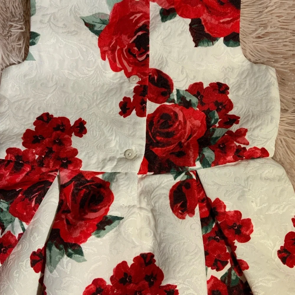 Children’s place Holiday dress size 3T